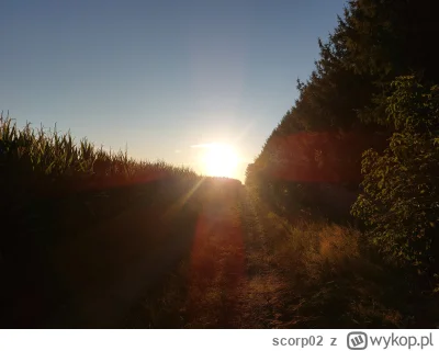 scorp02 - @scorp02: I wschodzące słuńce