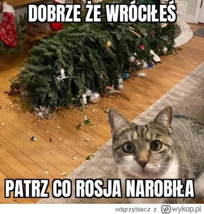 odgrzybiacz - Wina Tuska #heheszki #humorobrazkowy
