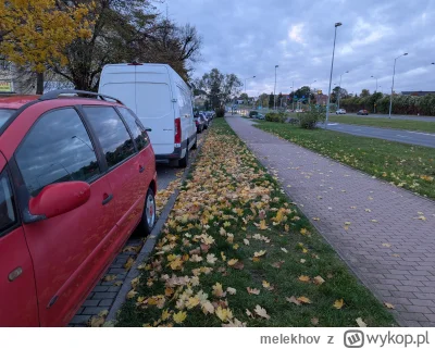 melekhov - @melekhov: