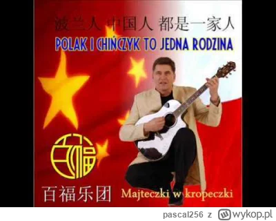 pascal256 - Disco-polo, piosenki polskich artystów śpiewane w innym języku i anime op...