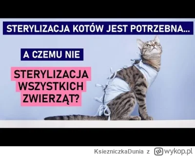 KsiezniczkaDunia - #efilizm #antynatalizm 
Ludzie popierają powszechną sterylizację b...