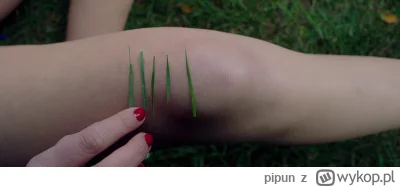 pipun - #ogarnijkadr 6344 #film
Zasady: http://www.wykop.pl/wpis/10376278