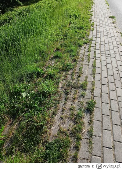 gfgfgfa - zajebisty mamy chodnik we wsi XD #bloglajfstajlowywiesniaka