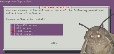 kamil-tumuletz - @kamil-tumuletz: