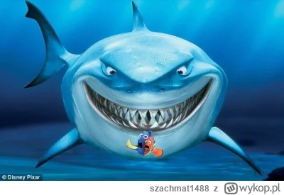 szachmat1488 - @szachmat1488: