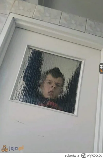 robertx - Ej ktoś tu sra!!!

#sejm #polityka