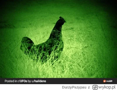 DurzyPszypau - Znaleziono statek matkę jaja xD

#ufo #uap