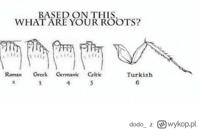 dodo_ - #heheszki #humorobrazkowy