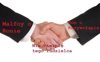 MechanicznyTurek - #harrypotter