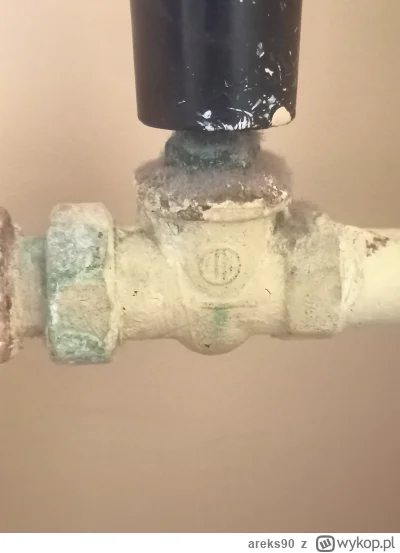 areks90 - Witam, czy sam wkład takiego zaworu można wymienić? Jest to stara głowica t...