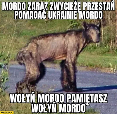 JPRW - @EarpMIToR: bójcie się niedźwiedzia dlaczego się nie boicie