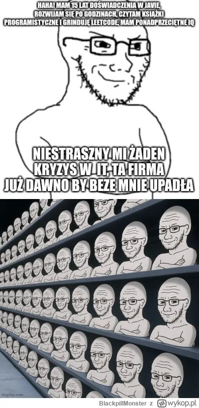 BlackpillMonster - #pracait #programowanie #programista15k #programista25k #java #kor...