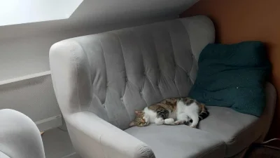 KjatanSveisson - #gielda #xtb

Proszę mnie nagonić na coś z naszej polskiej giełdy co...