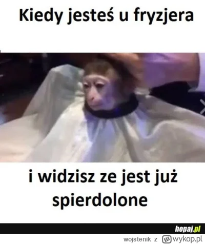 wojstenik - To ja teraz, w wzroku fryzjerki też to widziałem #przegryw