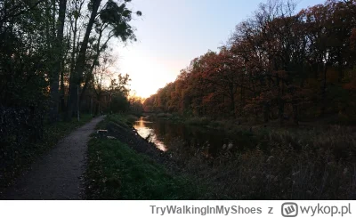TryWalkingInMyShoes - Wczoraj wracając z pracy w #torun przystanąłem na chwilę i stwi...