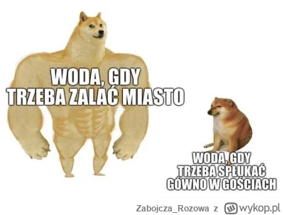 Zabojcza_Rozowa - Już po powodzi to można #powodz #heheszki #humorobrazkowy