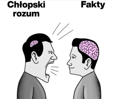 raul7788 - #polityka #bekazpisu #bekazkonfederacji #neuropa