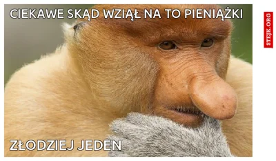 Przegrywzyciowy0 - a ciekawe  skond memcem wzioł melona na tom nagrode?!( ͡° ͜ʖ ͡°)