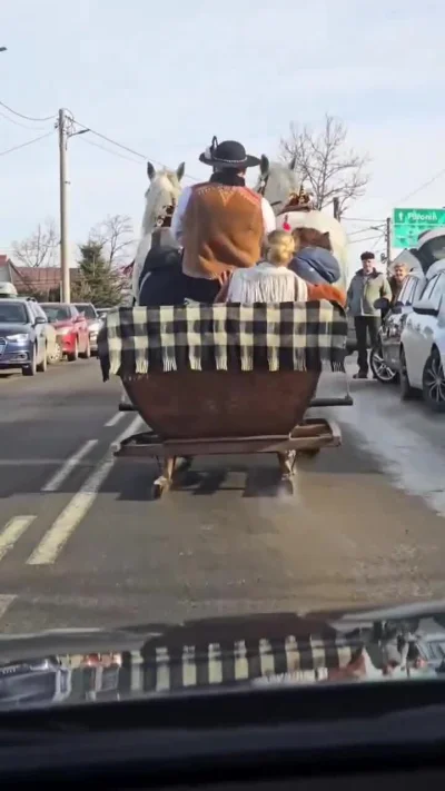 ZionOfel - W miejscowości Ząb na Podhalu dwa konie ciągnęły sanie po asfalcie. Tarcie...