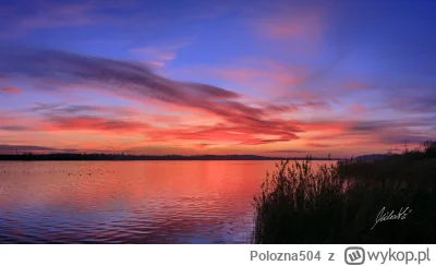 Polozna504 - Jezioro Pławniowice, 17.12.2023.

#mojezdjecie #tworczoscwlasna #fotogra...