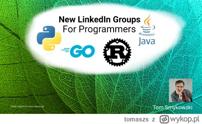 tomaszs - New Linkedin groups for Java, Rust, Golang and Python programmers are now o...