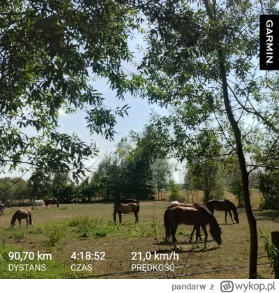 pandarw - 518 526 + 47 + 91 = 518 664



#rowerowyrownik

Skrypt | Statystyki