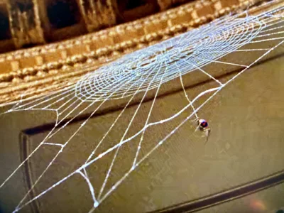 Kulfonix - Chuop ogląda Spidermana ༼ຈل͜ຈ༽

#kulfonix #przegryw