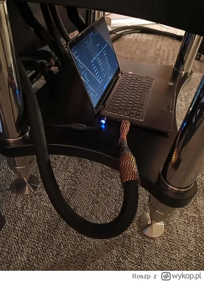 Roszp - Ależ to musi drukować 

#tonskladowy - największe absurdy branży #audiovoodoo