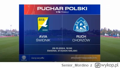 Senior_Mordino - UWAGA, UWAGA, Wszyscy eksperci proszeni są o zajęcie swych komentato...