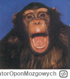 W.....h - @Grzegorzzemla: Milenko kaszalocie nie podniecaj się :)))