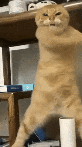 dywergent - of sound mind