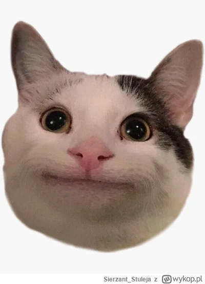 Sierzant_Stuleja - @igrek97: