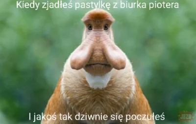 pawello321 - #konkursnanajbardziejgownianymemznosaczem