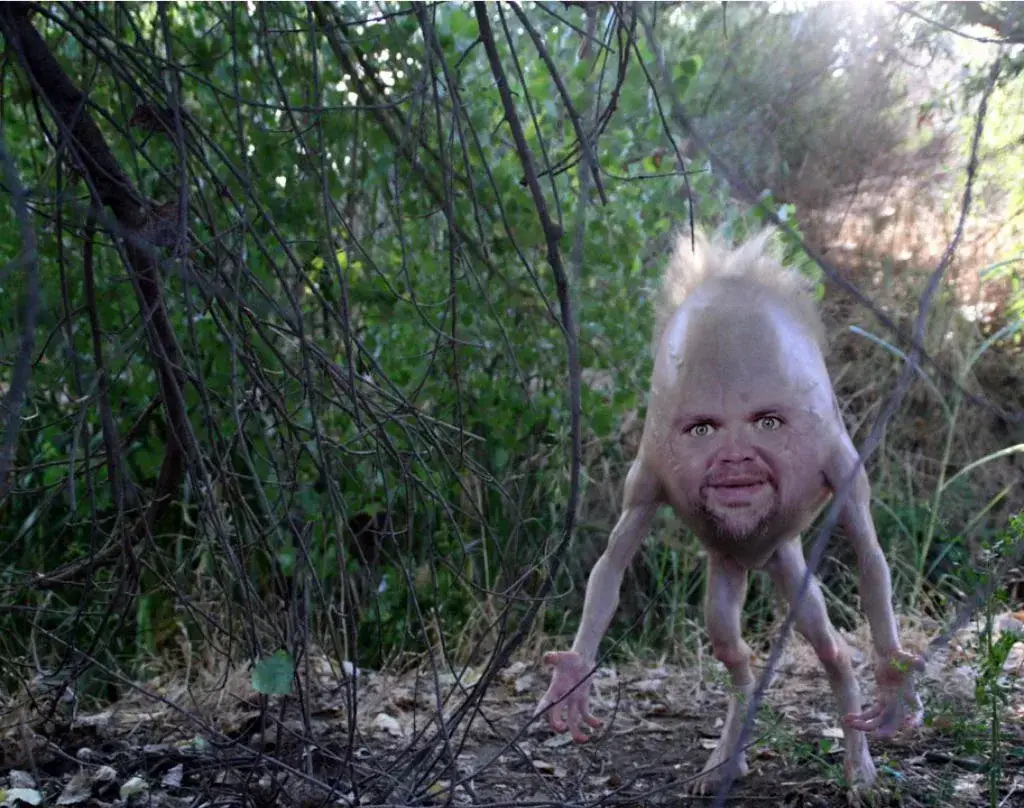 IksdeHeheh - @SzubiDubiDu: