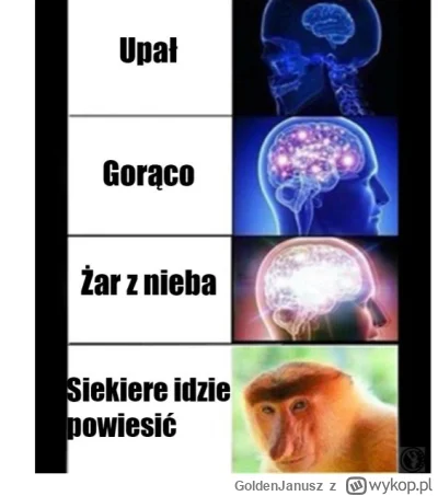 GoldenJanusz - #przegryw