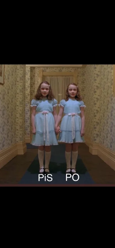 adi2131 - Dzień dobry (⌐ ͡■ ͜ʖ ͡■)
#polityka #4konserwy #neuropa