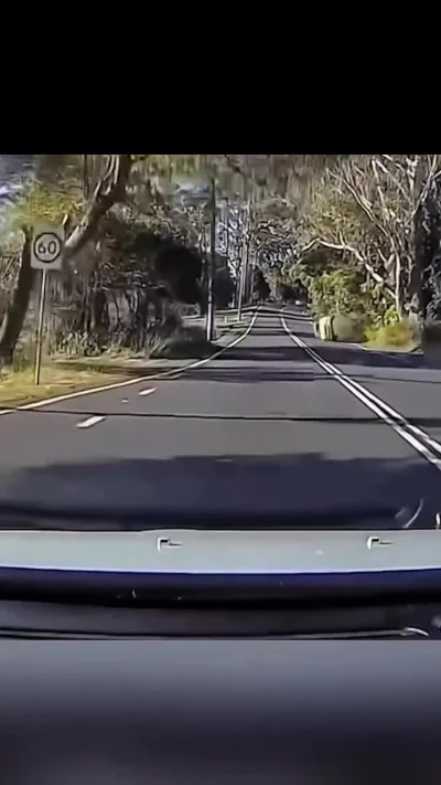 tasaku - ulala ale poszedł #sebcel