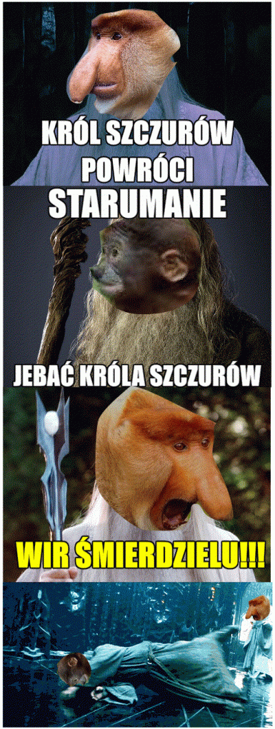 ryhu - #konkursnanajbardziejgownianymemznosaczem