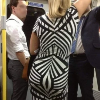 sieporobilo - #sebcel #zebra