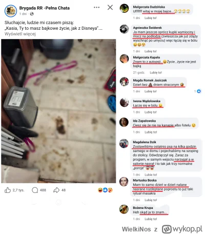 WielkiNos - Psiary się chwalą jak mają nasrane w domach przez psy. I to by było na ty...