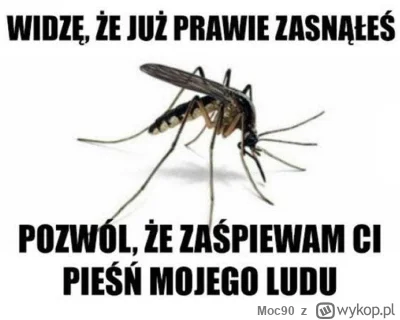 Moc90 - Zaczyna się (╥﹏╥)

#wojna #świat #komary #zwierzęta #natura #ciekawostki #heh...