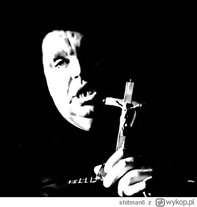 shitman6 - Marzę o koszulce Knurzum z takim wzorem. Chyba sobie zrobię :) 
#kononowic...