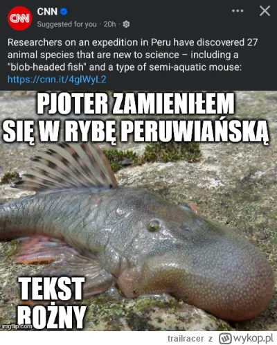 t.....r - #konkursnanajbardziejgownianymemznosaczem