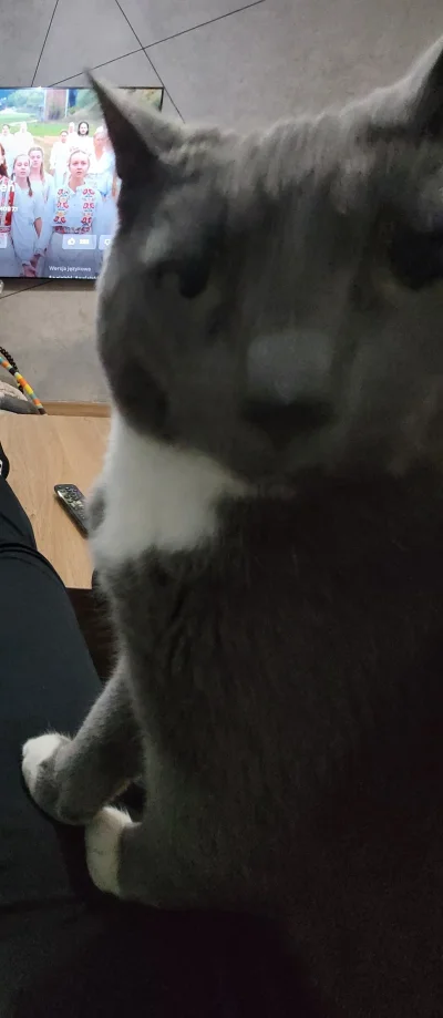 P.....a - @klefonafide: whot