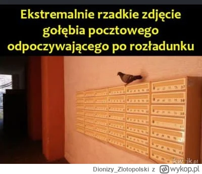 Dionizy_Zlotopolski - #humorobrazkowy #heheszki