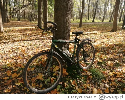 CrazyxDriver - 614 912 + 11 + 13 = 614 936

Pojeździłem troszku po Krakowie. Byłem dz...