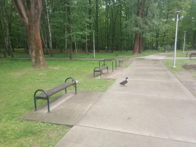 HorrorystycznyDemonPagona