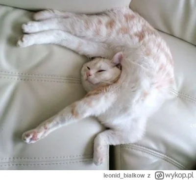 leonid_bialkow - @annlupin: cze dla ciebie