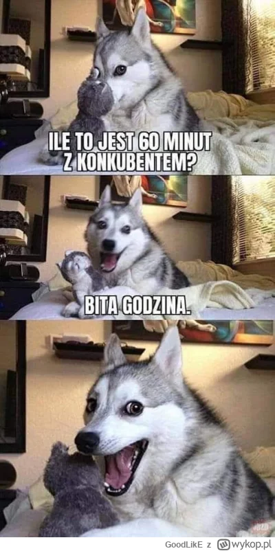 GoodLikE - #humorobrazkowy #heheszki #komornik