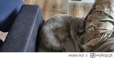 wojtecki2 - @Mega_Smieszek